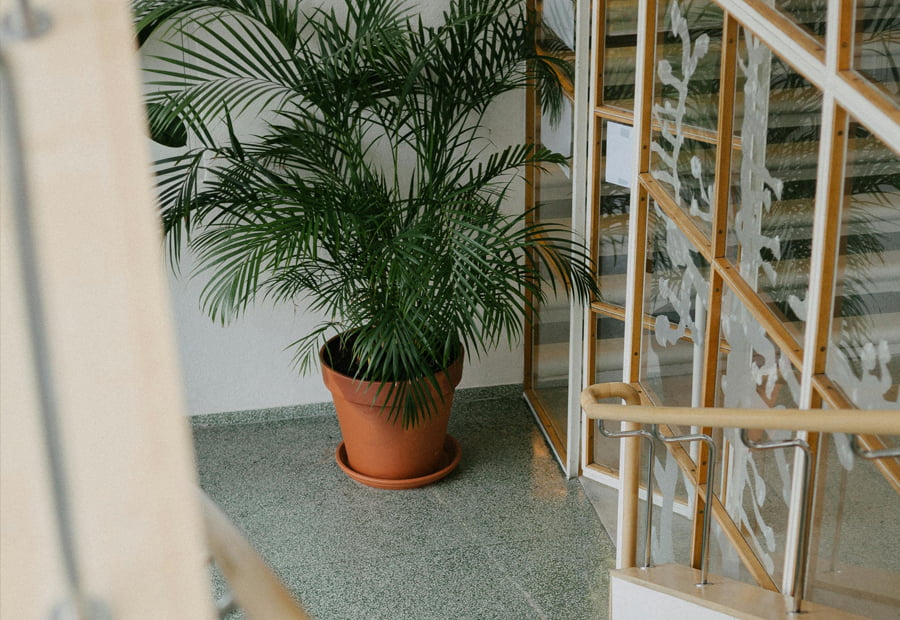 Controlled laboratory and restricted room access system for universities