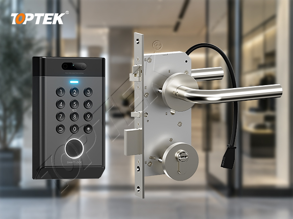 TOPTEK EKZLSSO5090 European access-control arrangement with lock case reader cylinder and lever